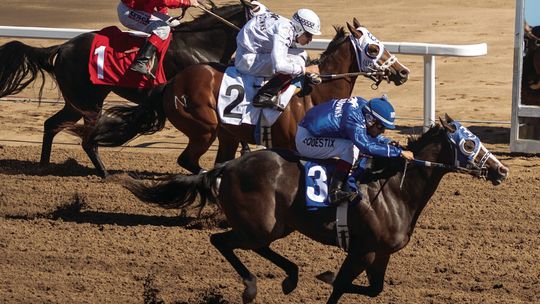 A Homecoming 37 Years in the Making: Eureka Downs Held First Races In 16 Years