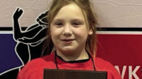 Area Wrestlers Earned Podium Finishes At Kids State Tournament