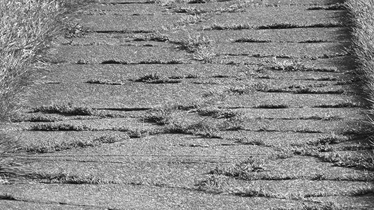 Cracked Walkways Threaten Homes And Residents In Many Ways