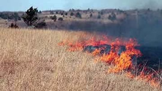 Multiple Fires Reported During High Winds