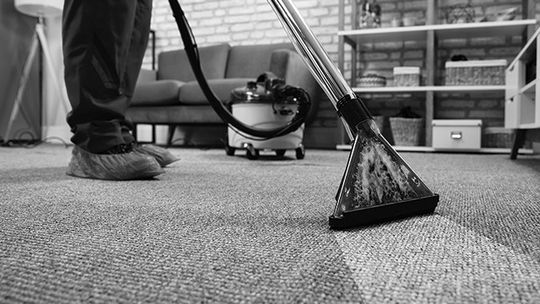 Preserve Your Pile: Carpet Maintenance Tips