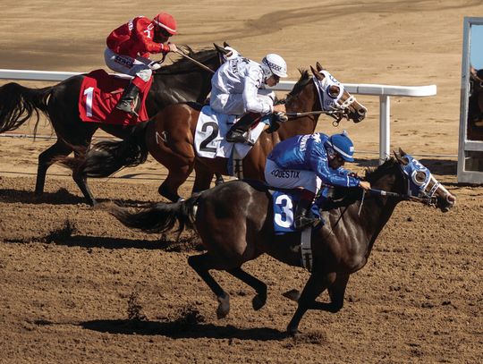 A Homecoming 37 Years in the Making: Eureka Downs Held First Races In 16 Years