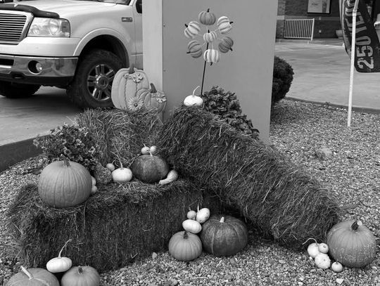 A Welcoming Touch: Locals Add Fall Cheer to Eureka Intersection
