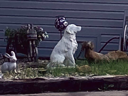 Annual “Eureka In Eureka” Event To Be Held Friday, July 4