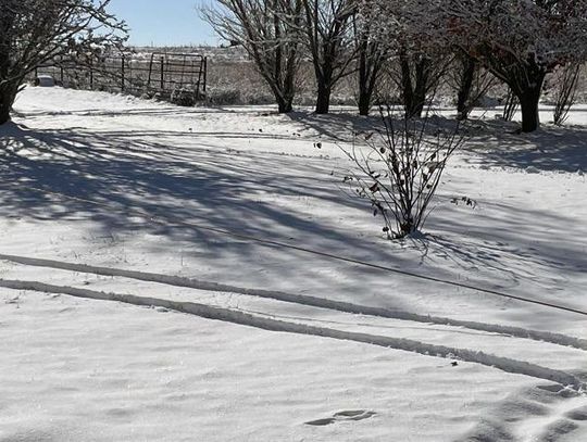 Area Youth Enjoyed A Snow Day