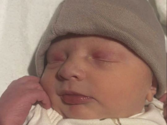 Celeste Lynn Beliveau