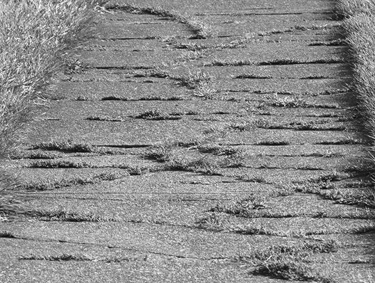 Cracked Walkways Threaten Homes And Residents In Many Ways