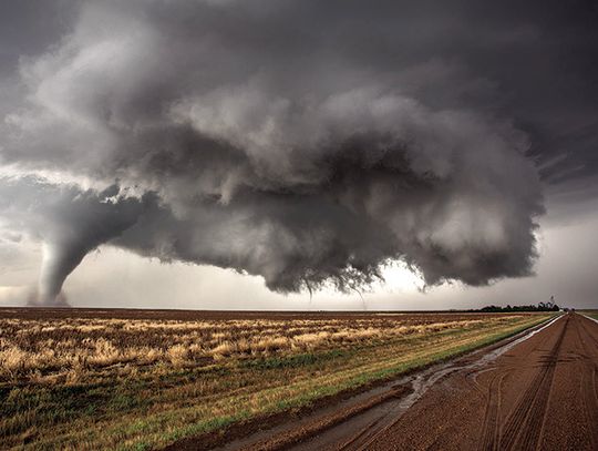 Essential Skills For Navigating A Natural Disaster