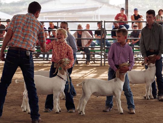 Excitement Was Evident At The Annual County Fair