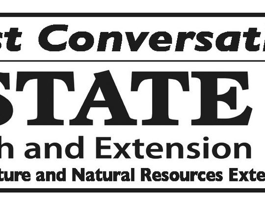 Feed Testing & Ration Building Tools