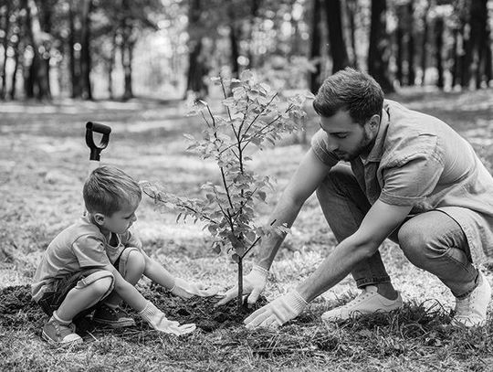 Fun And Educational Ways To Celebrate Earth Day