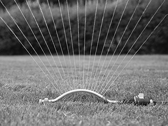 Gardening Safety For Seniors