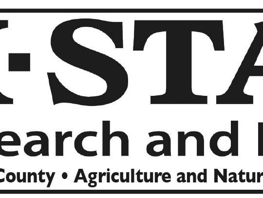 Gardening Vertically