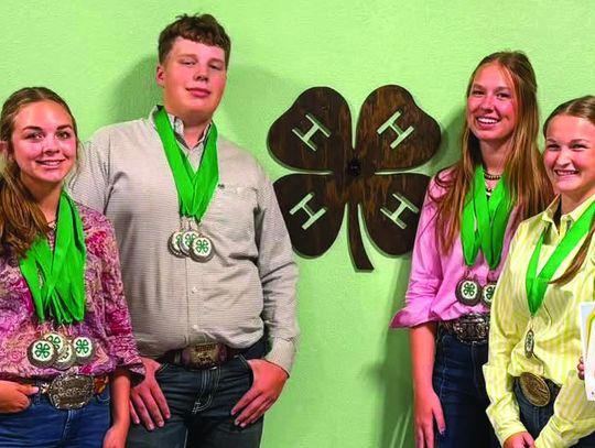 Greenwood County 4-H Excels At Southeast Area Livestock Contests