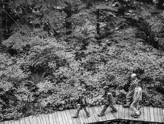 How To Celebrate Earth Day As A Family