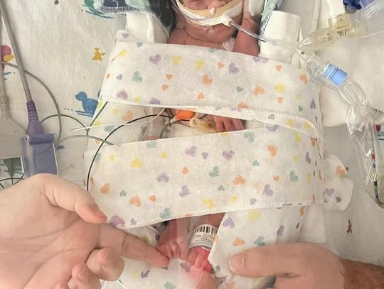 Monterrey Dinner Fundraiser To Be Held This Wednesday To Assist Schulte Family