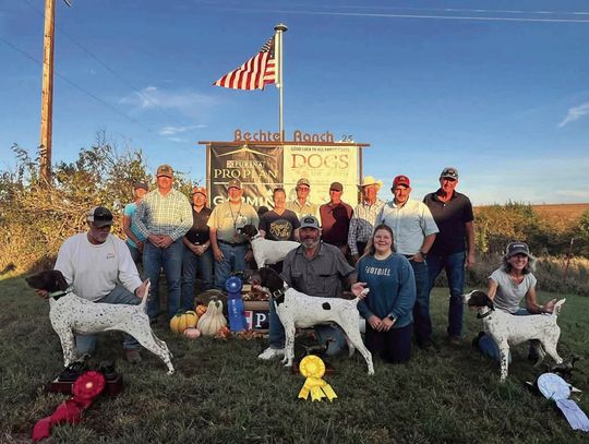 National German Shorthair Pointer Club Of America Championships Held At Bechtel Ranch