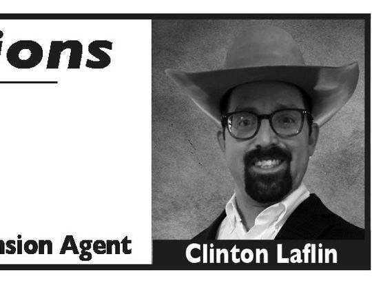 Pasture Burning and Tick Control