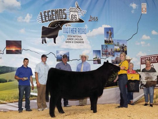 Richardson’s Lola Earns National Champion Bred and Owned Limousin Heifer