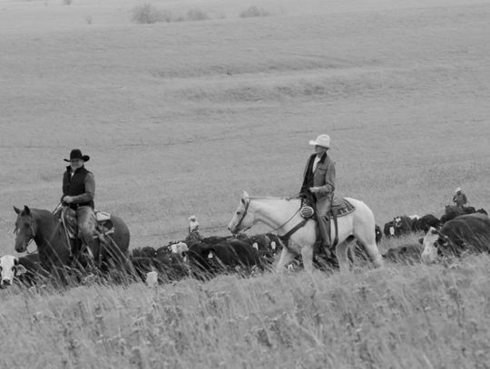 Shop Kansas Farms Spotlights Farmers And Ranchers