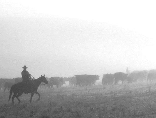 Songs Of The Flint Hills