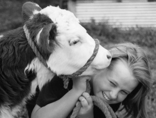 Songs Of The Flint Hills