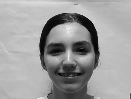 Student Artwork To Be Featured In Youth Art Month Show