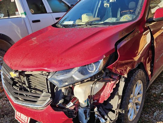 Thankful, Grateful & Blessed