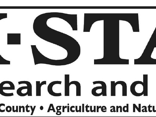 The Power Of Connection