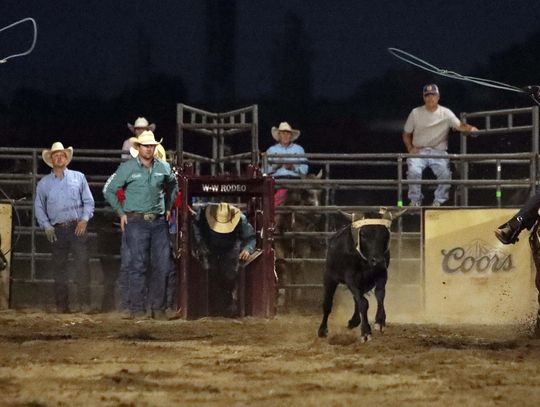 Thirteenth Annual Eureka Pro Rodeo This Weekend At Eureka Downs