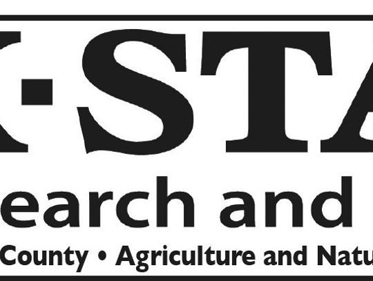 Tis the Season: Nitrate Toxicity & Prussic Acid Poisoning
