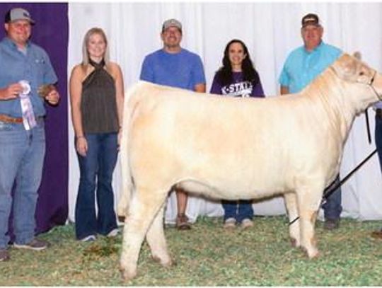 Westerman Won Reserve Champion Charolais Composite Heifer At Kansas State Fair