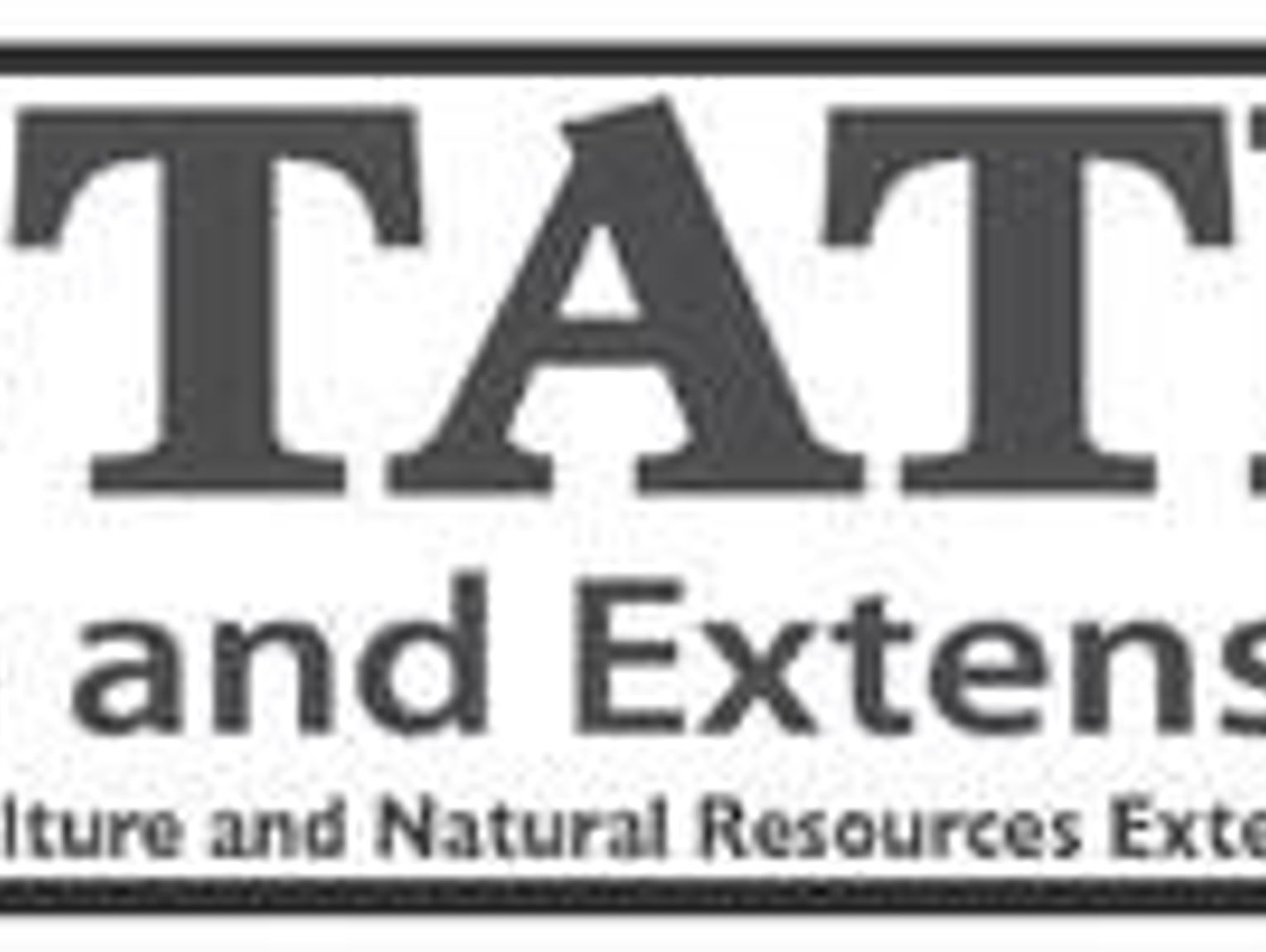 Bridging The Gap Between Generations