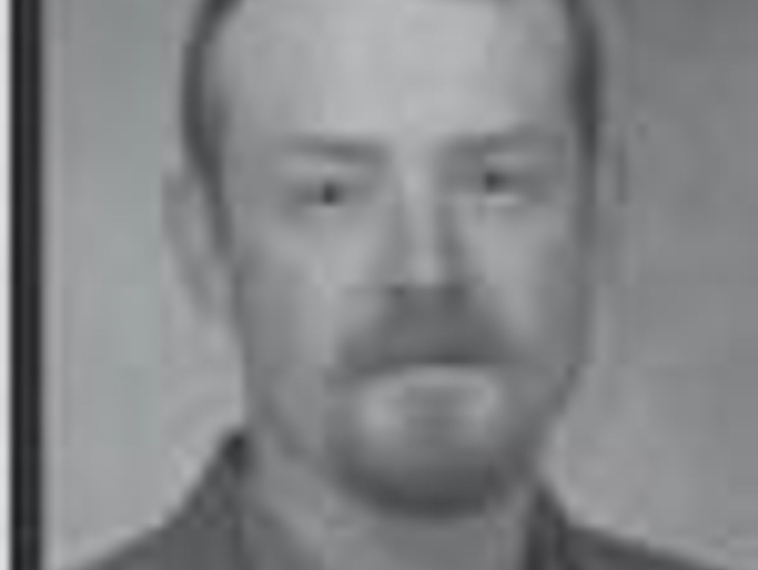 Green June Beetles And Walnut Caterpillars green-june-beetles-and-walnut-caterpillars