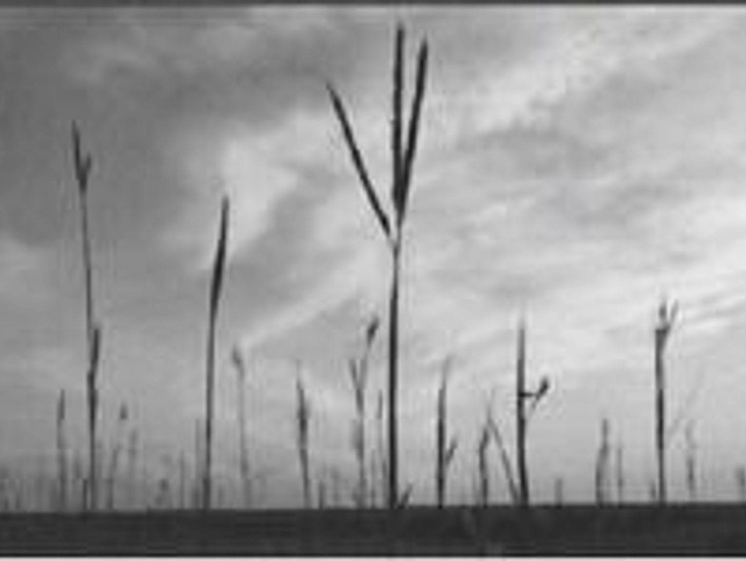 Songs Of The Flint Hills songs-of-the-flint-hills