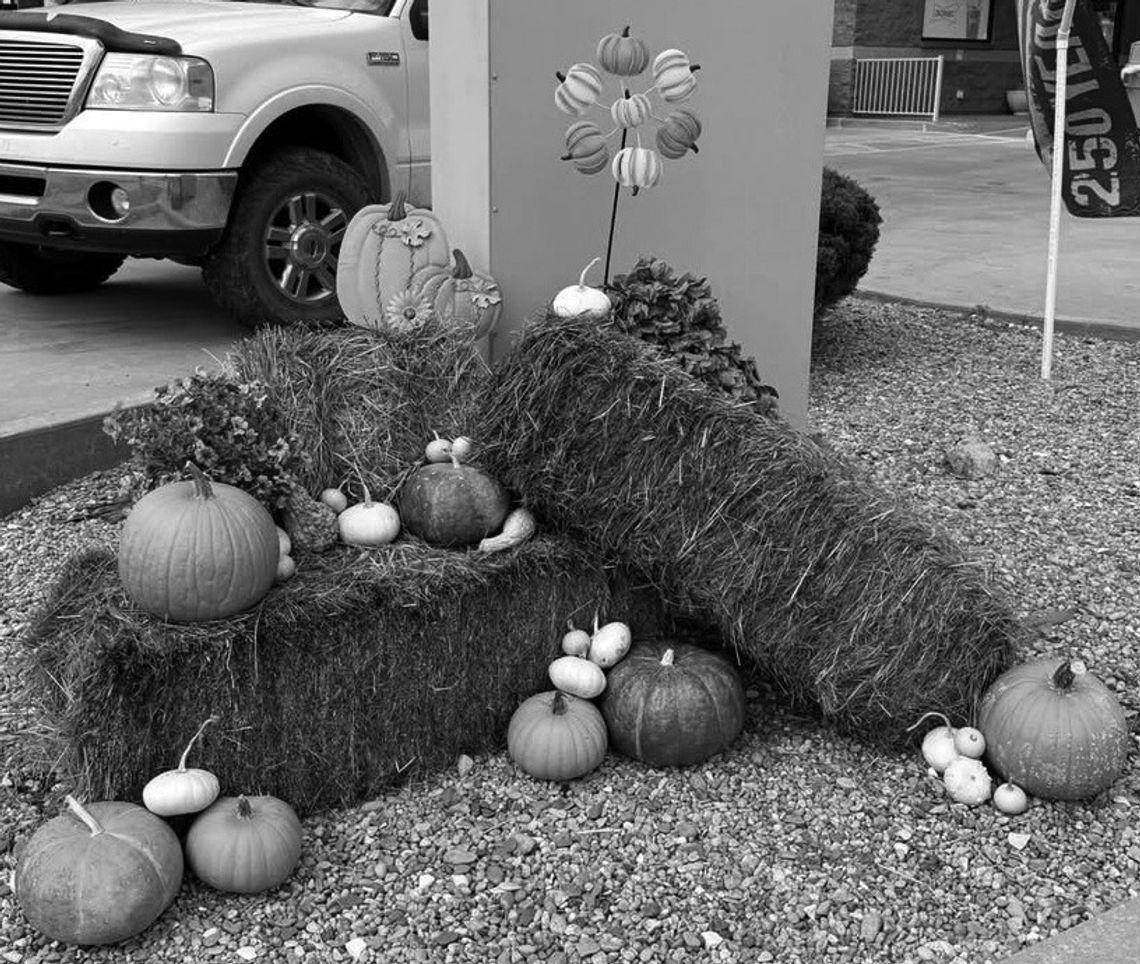 A Welcoming Touch: Locals Add Fall Cheer to Eureka Intersection