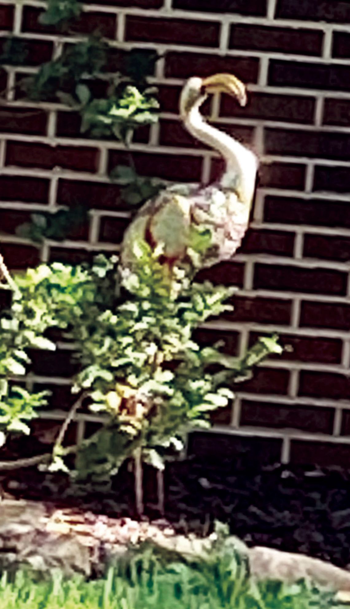 Annual “Eureka In Eureka” Event To Be Held Friday, July 4