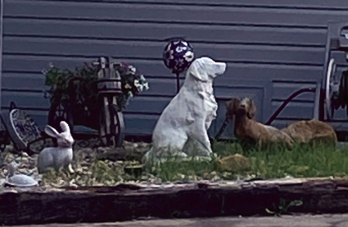 Annual “Eureka In Eureka” Event To Be Held Friday, July 4