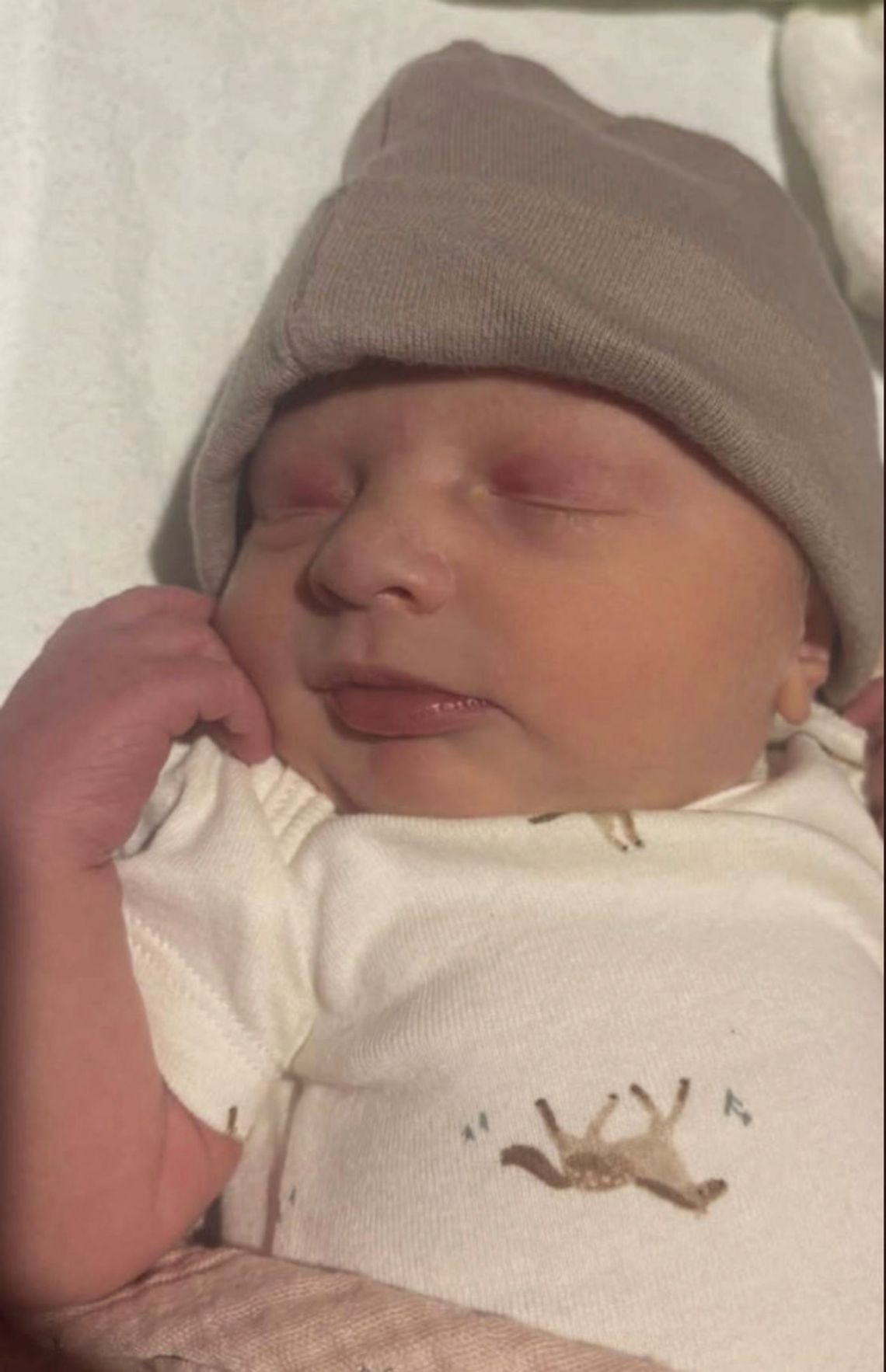 Celeste Lynn Beliveau