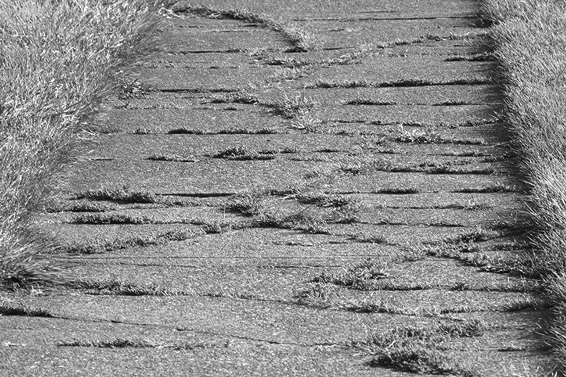 Cracked Walkways Threaten Homes And Residents In Many Ways