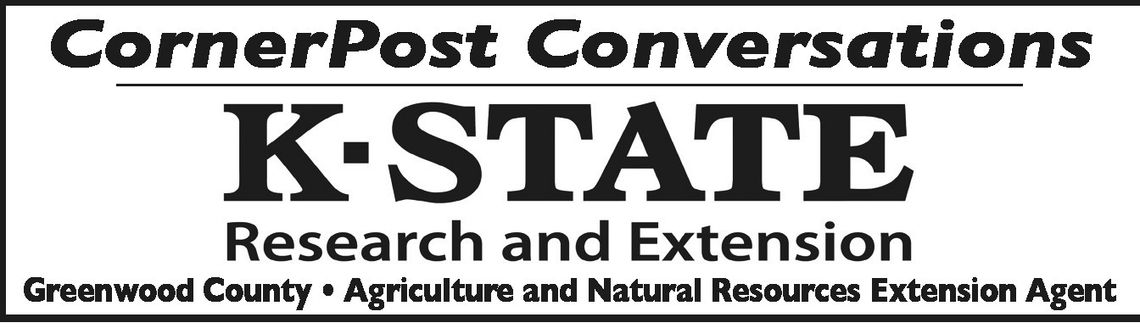 Dealing with Cold Stress in Beef Cattle