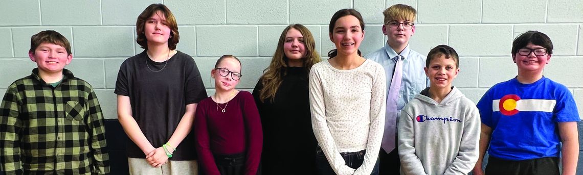 Eight Advance To Greenwood County Spelling Bee