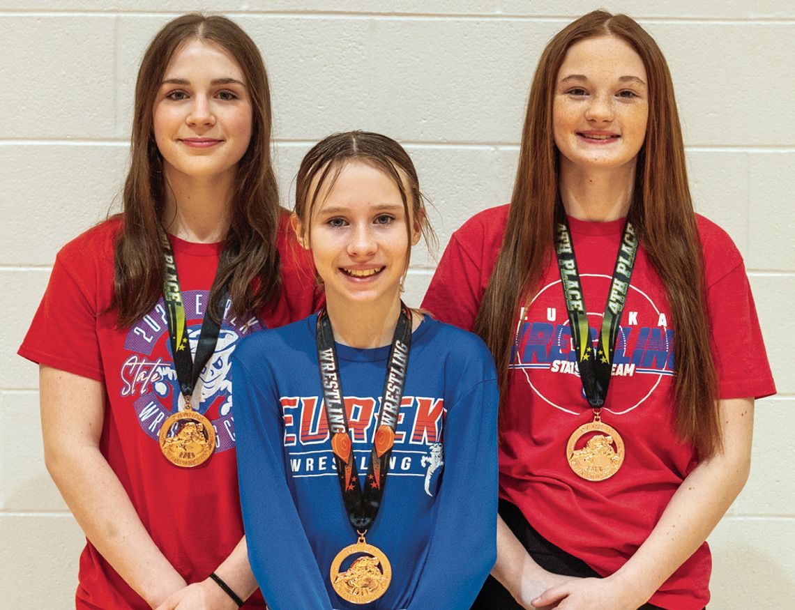 Eleven Area Wrestlers Qualified For State Tournament