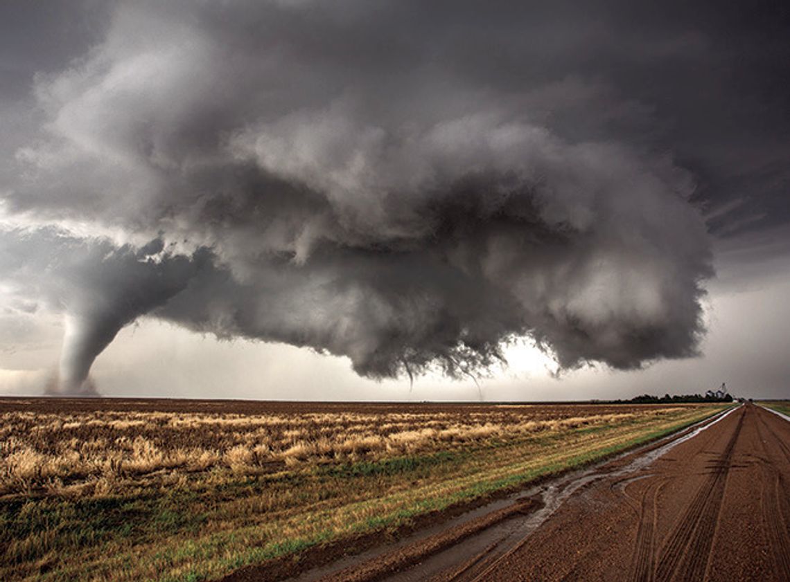 Essential Skills For Navigating A Natural Disaster Essential Skills For Navigating A Natural Disaster