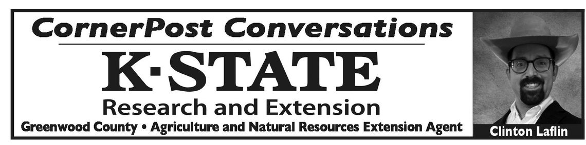 Feed Testing & Ration Building Tools