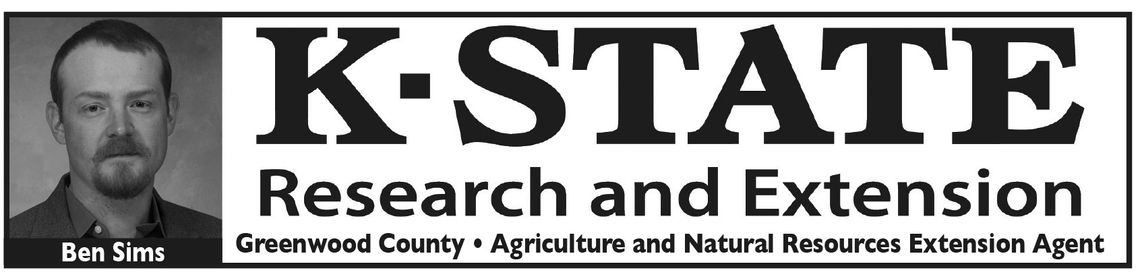 Gardening Vertically