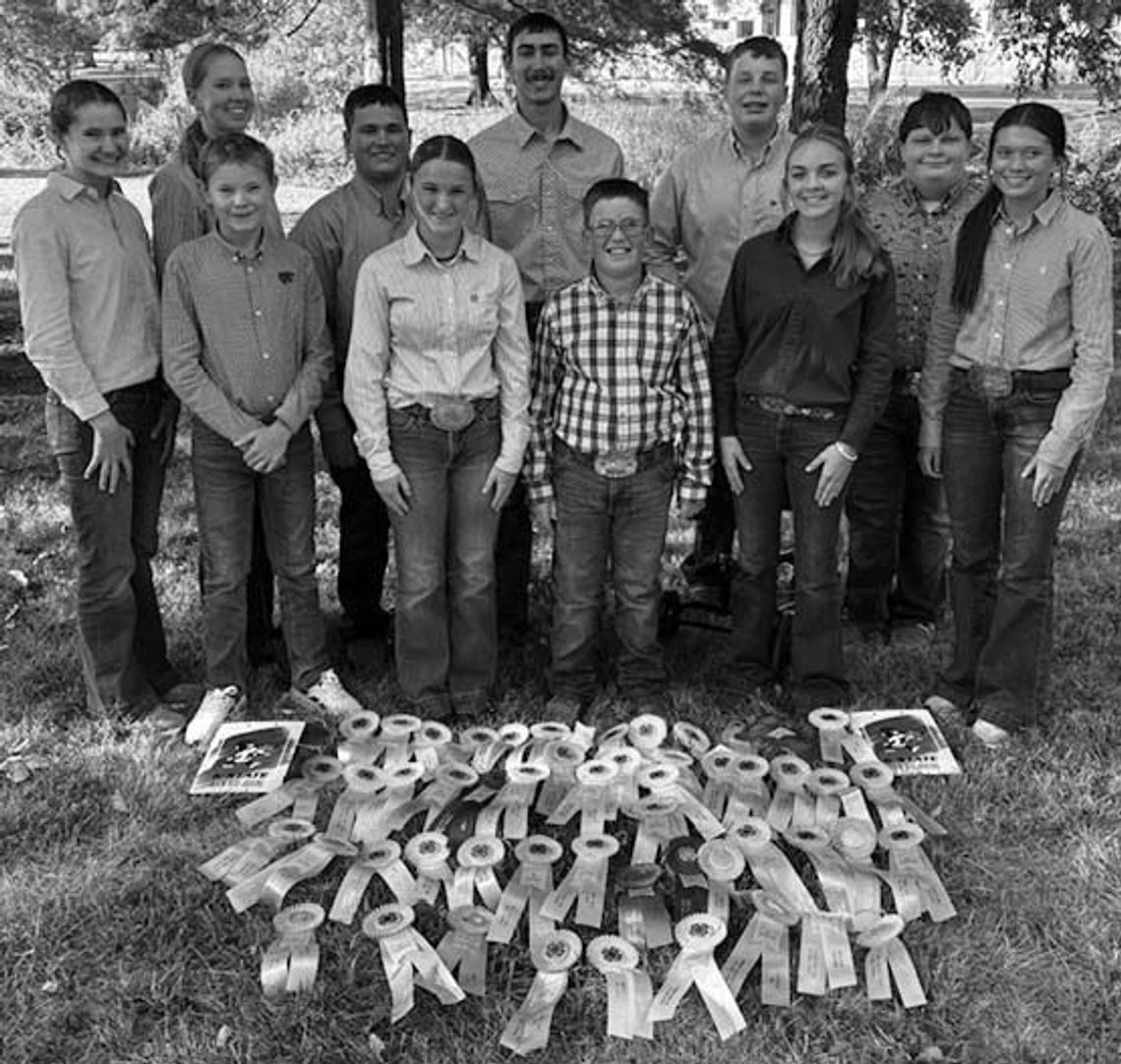Local 4-Hers Busy Judging • Two Invited To Tryout For 2025 National Judging Team