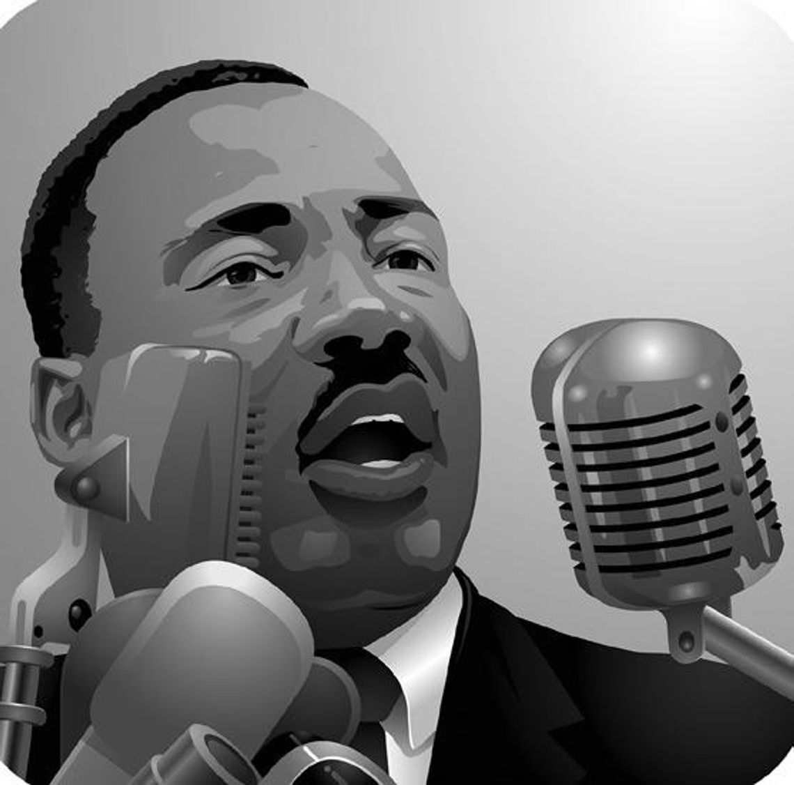 Martin Luther King, Jr. And Other Notable Civil Rights Activists