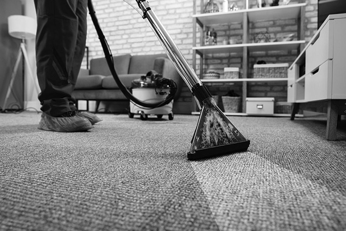 Preserve Your Pile: Carpet Maintenance Tips