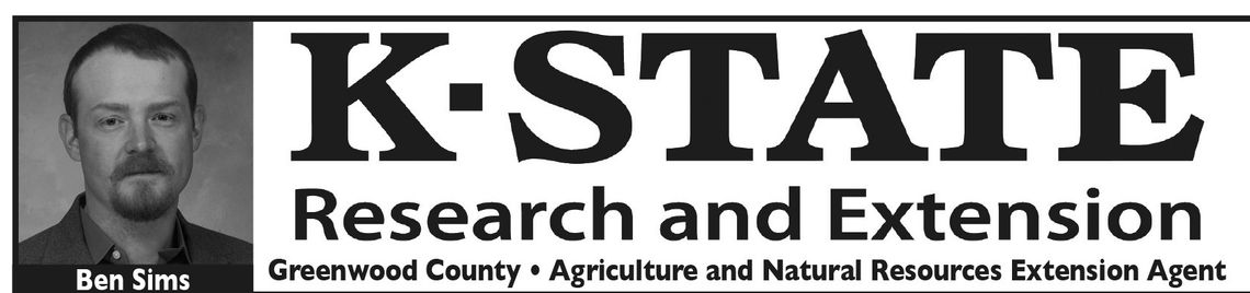 Rascally Rabbits In The Garden Rascally Rabbits In The Garden